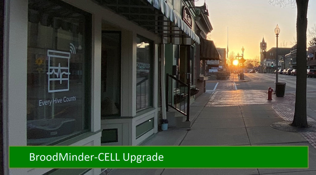 BroodMinder-CELL Upgrade