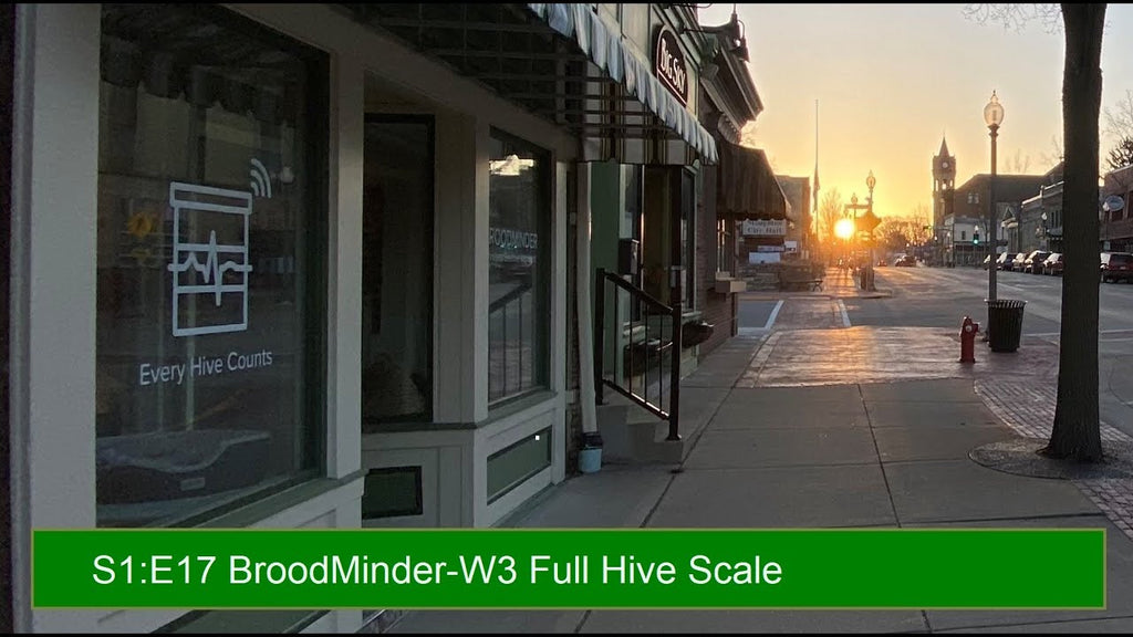 S1:E17 BroodMinder-W3 Full Hive Scale