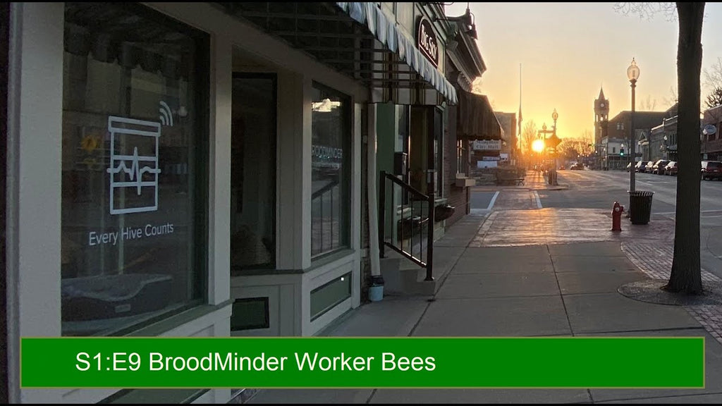 S1:E9 Worker Bees